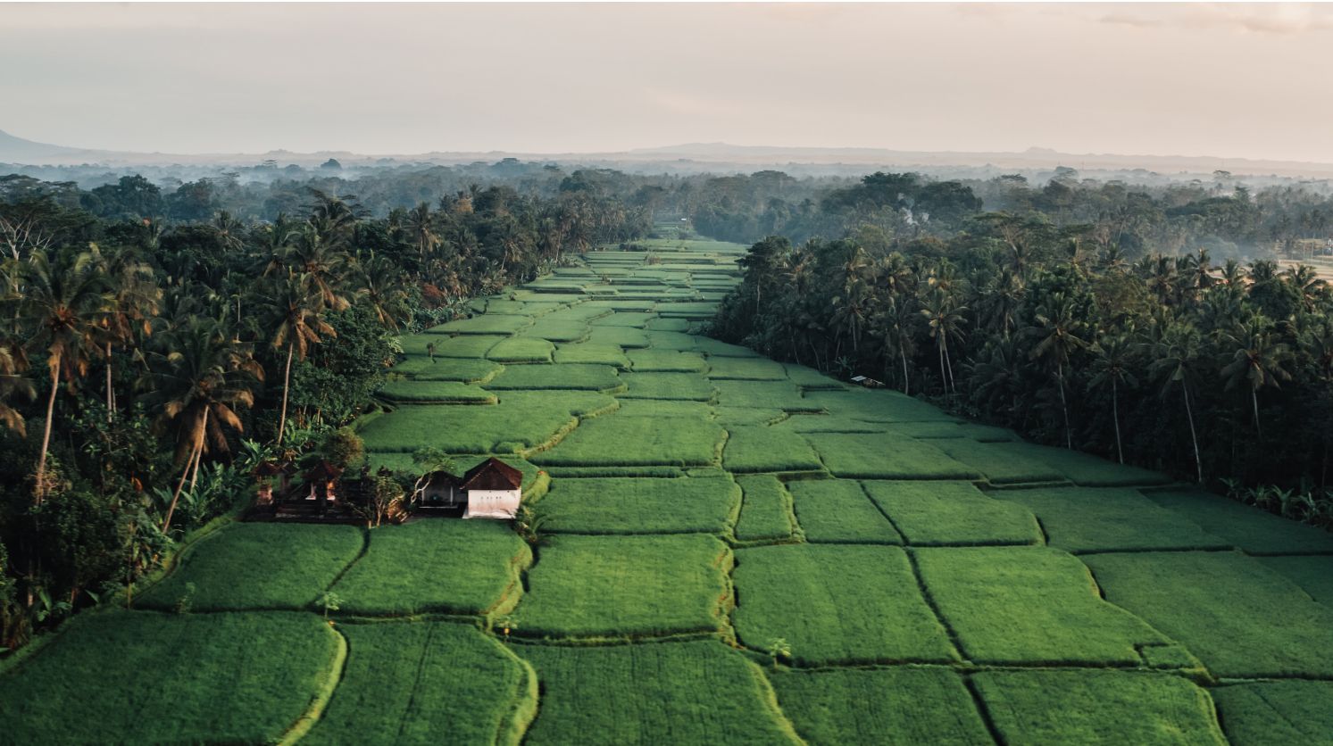 Adapting traditional balinese irrigation techniques to reduce greenhouse gas emissions - Pilot project